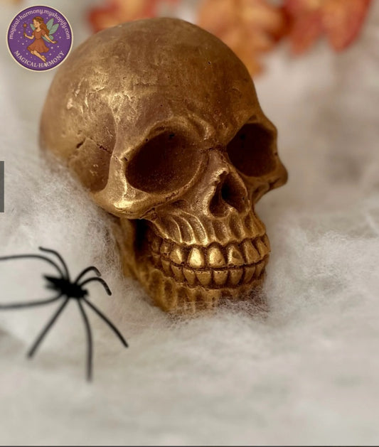Giant Chocolate Skull