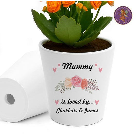 Personalised Nan Plant Pot.