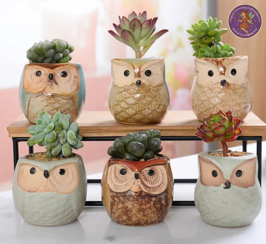 6pcs Mini Ceramic Succulent Pot Set (Perfect For Owl Enthusiasts)