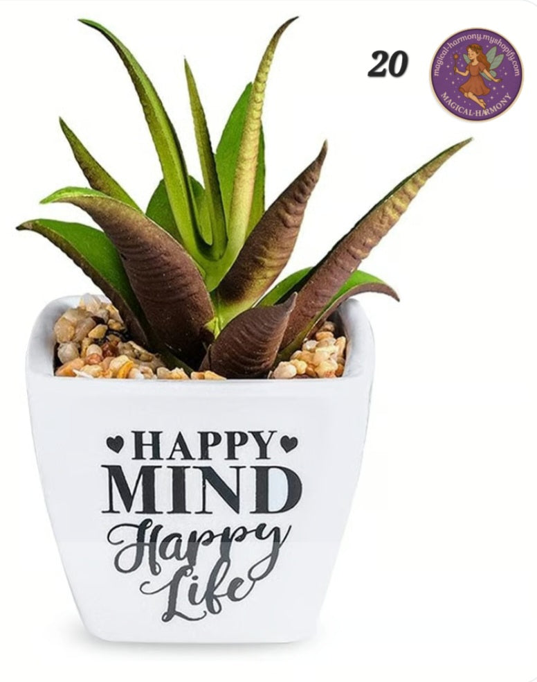 Faux Succulent Plant