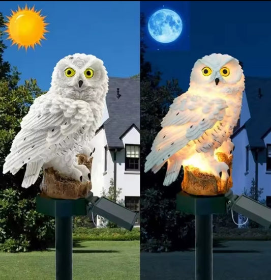 Solar Powered Owl Light