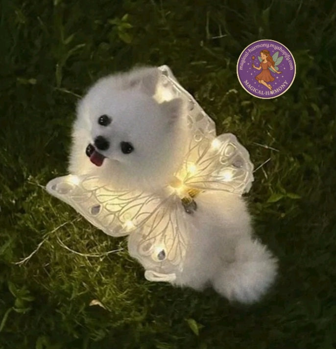 Glowing Dog Wing Butterfly Cat Accessories New Pet Supplies