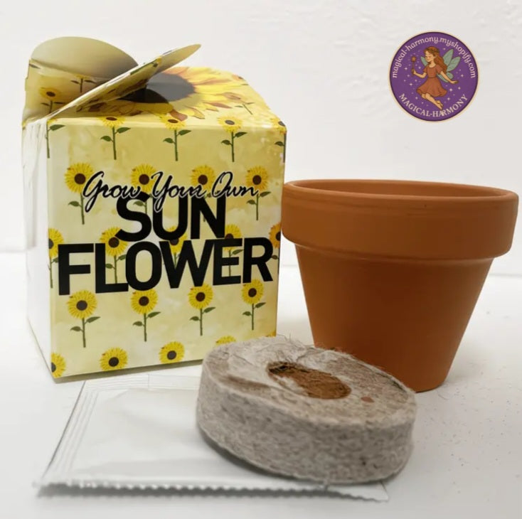 Grow Your Own Mini Box Kits