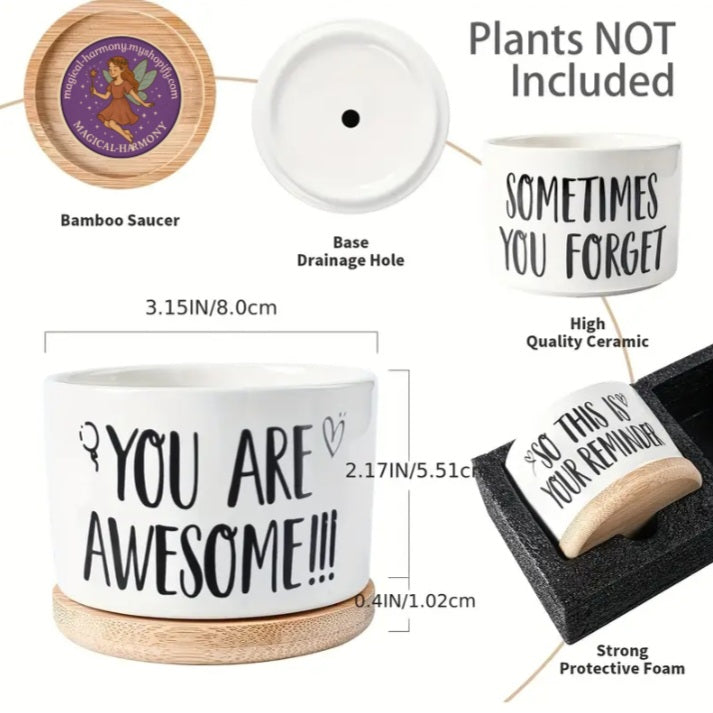 3-Piece Flower Pot Gift Set