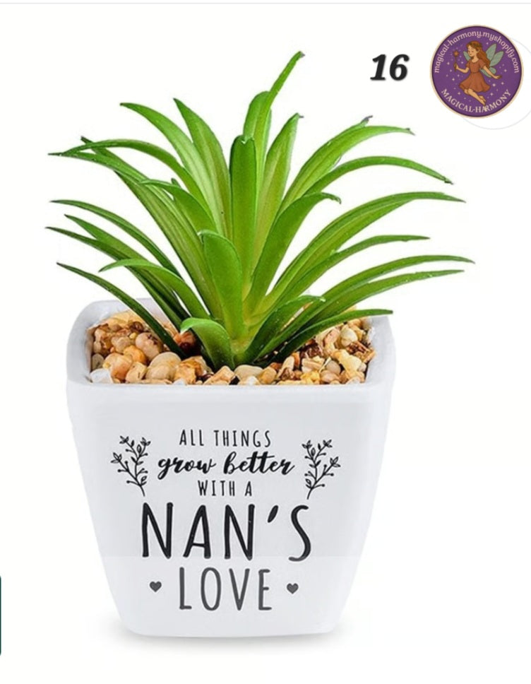 Faux Succulent Plant