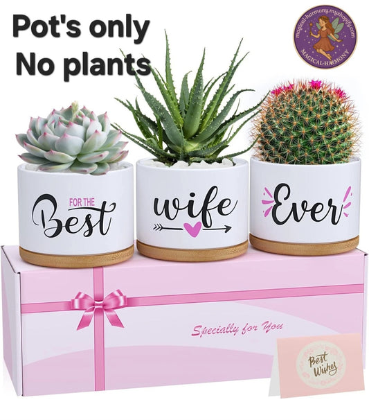 🌸 Best Wife Ever – Ceramic Plant Pot 🌸