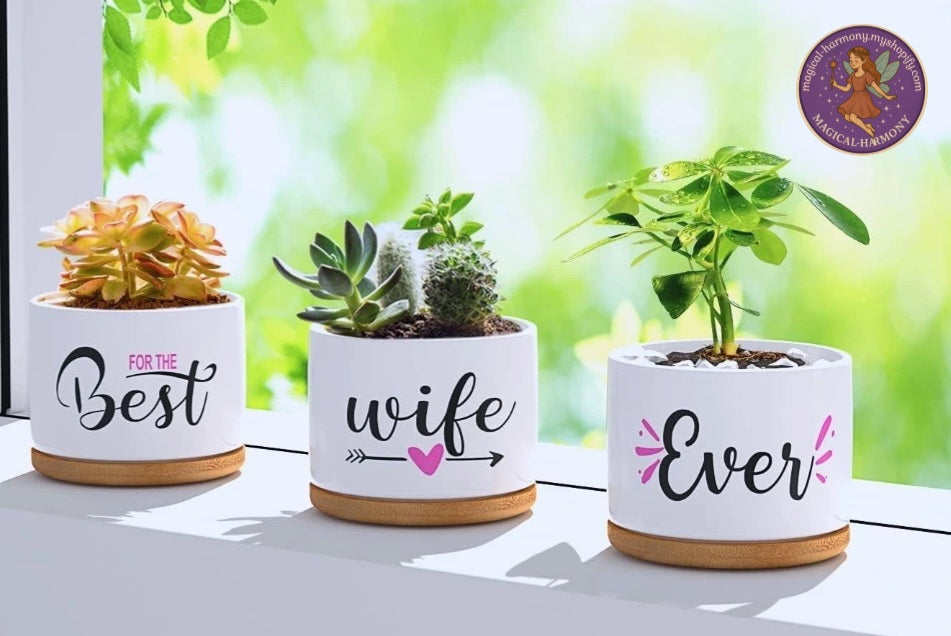 🌸 Best Wife Ever – Ceramic Plant Pot 🌸