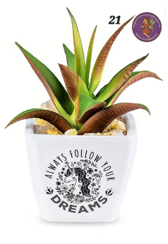Faux Succulent Plant