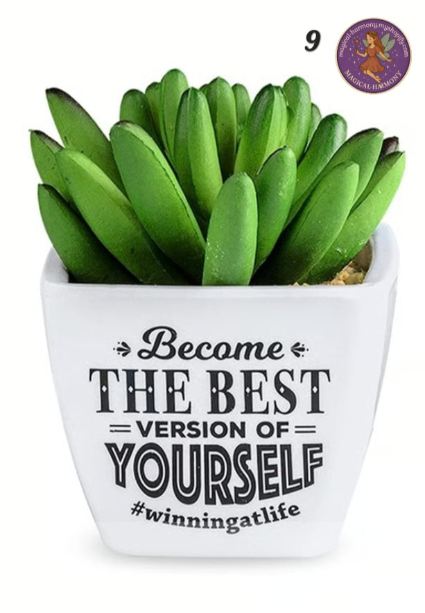 Faux Succulent Plant