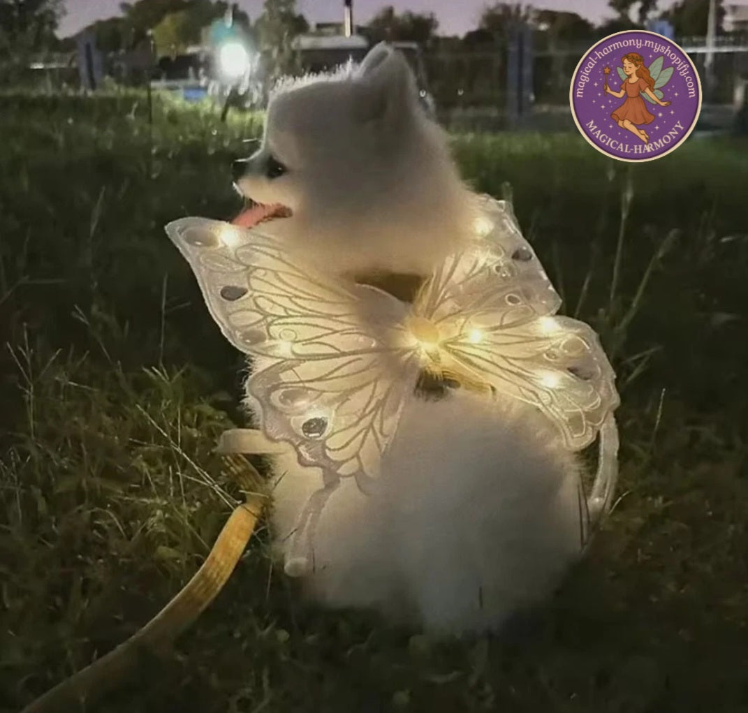 Glowing Dog Wing Butterfly Cat Accessories New Pet Supplies