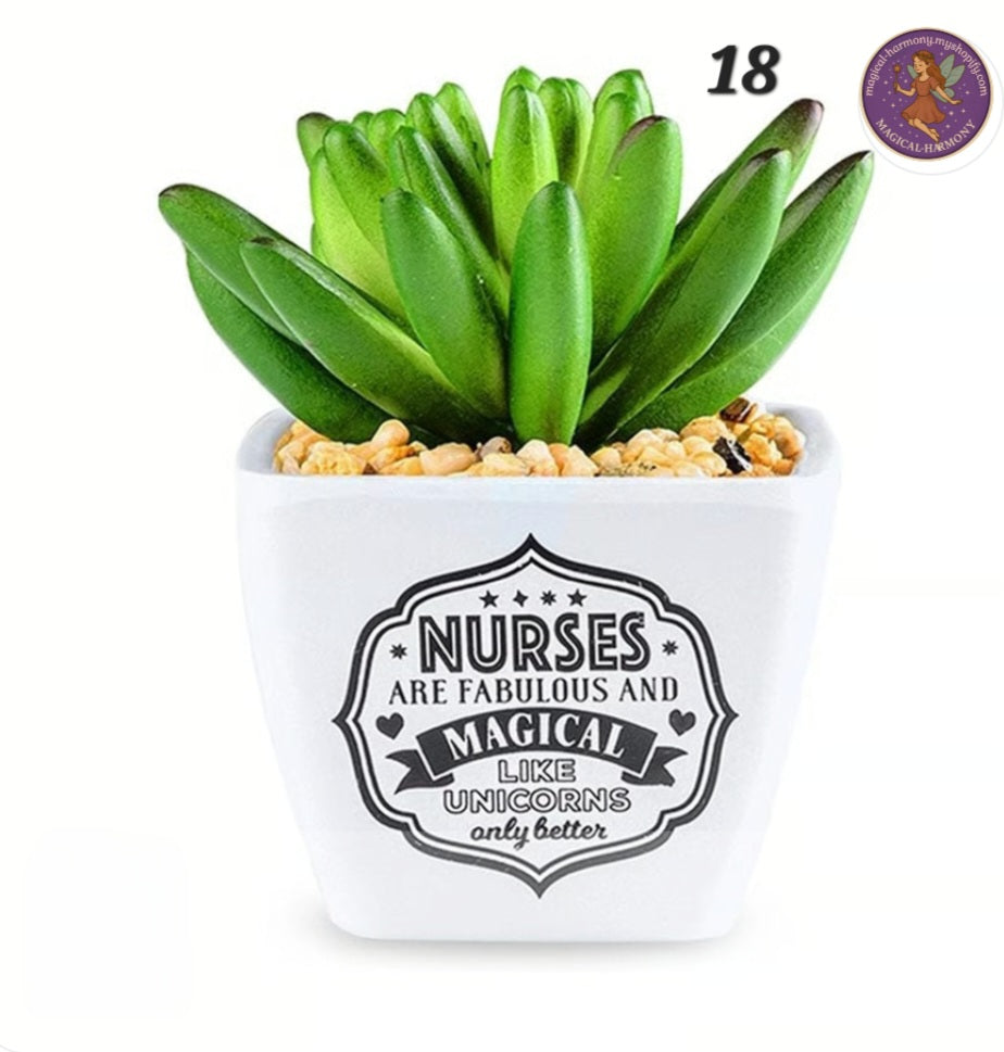 Faux Succulent Plant