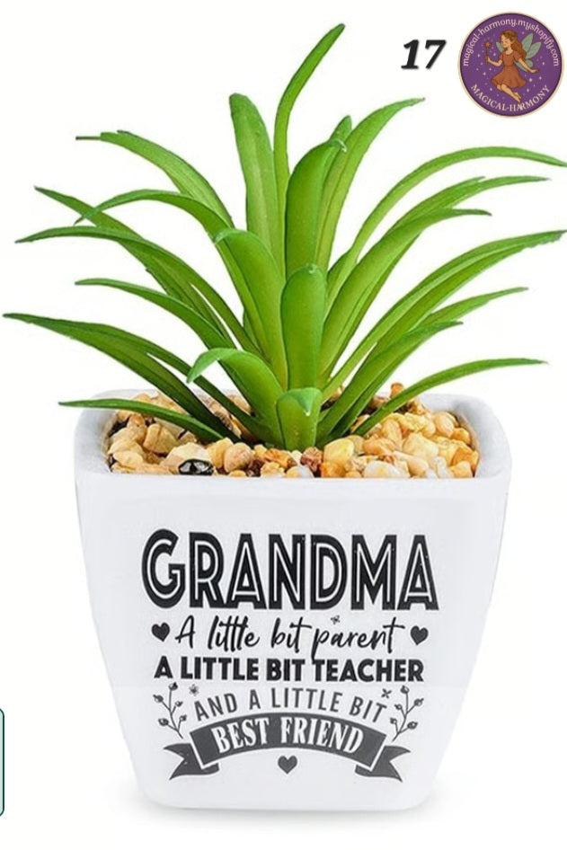 Faux Succulent Plant