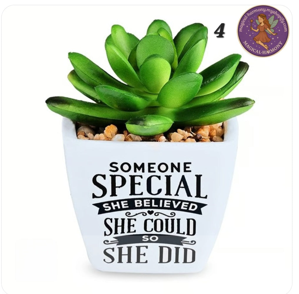 Faux Succulent Plant