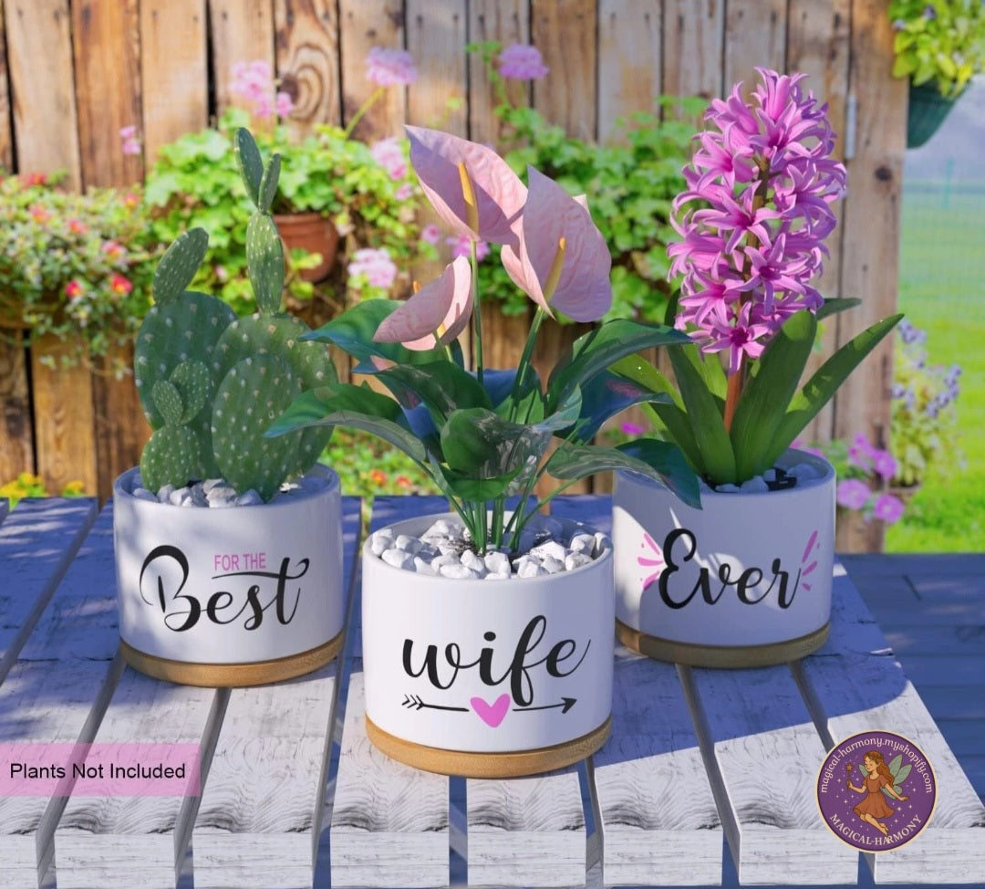 🌸 Best Wife Ever – Ceramic Plant Pot 🌸