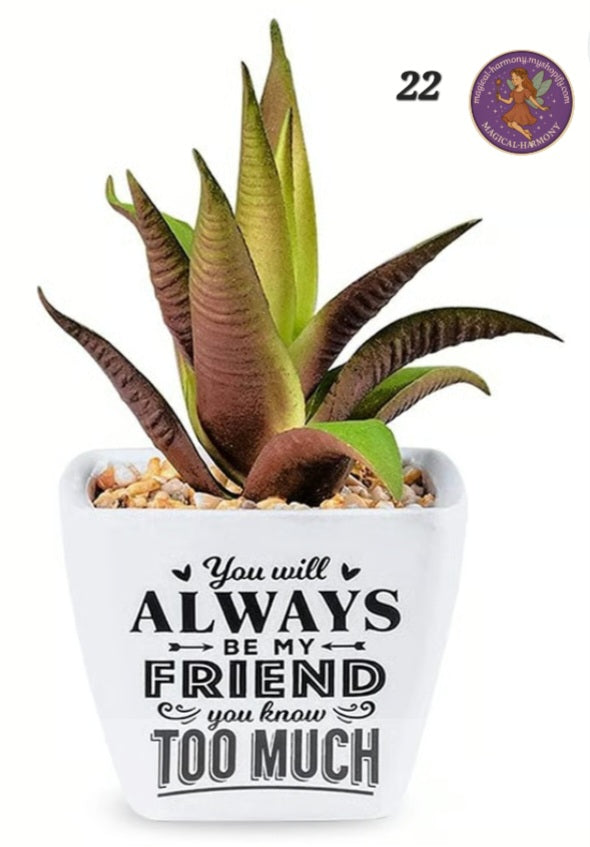 Faux Succulent Plant