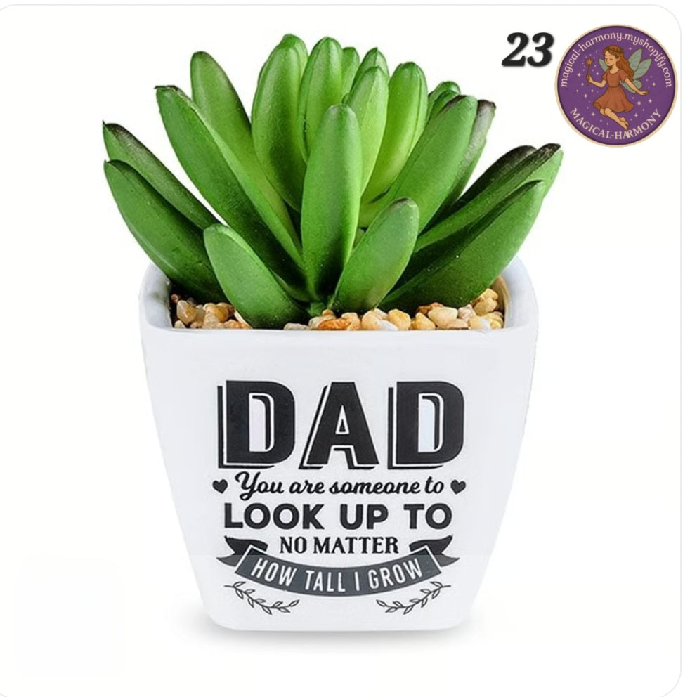 Faux Succulent Plant